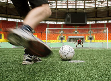 บิ๊กฟีฟ่าผุดไอเดียบอลโลก2010เตะบนหญ้าเทียม