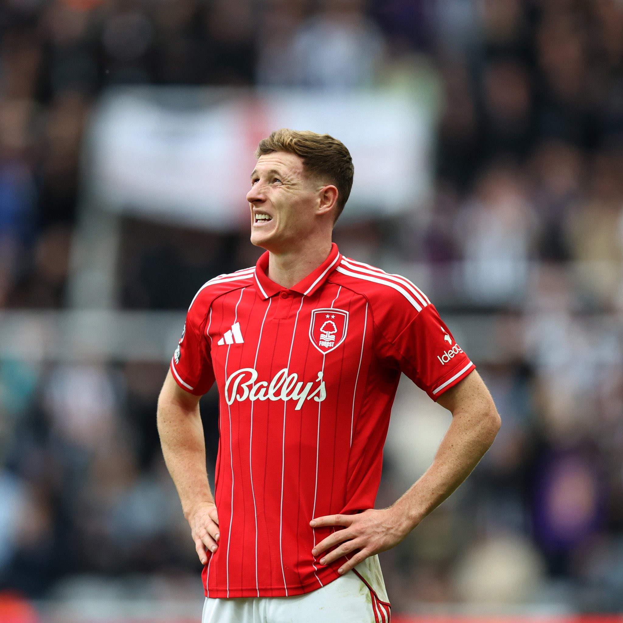 ปูด ! ผีแดง ติดต่อ เจ้าป่า ถึงโอกาสซิล แอนเดอร์สัน